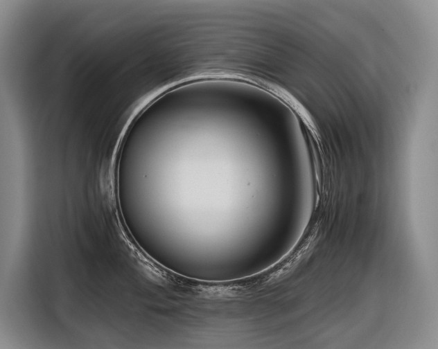 X0000116641004200912141232