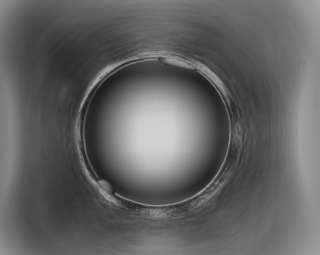 X0000116641005200912141231