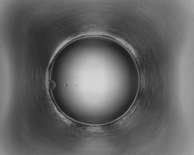 X0000116641006200912141231