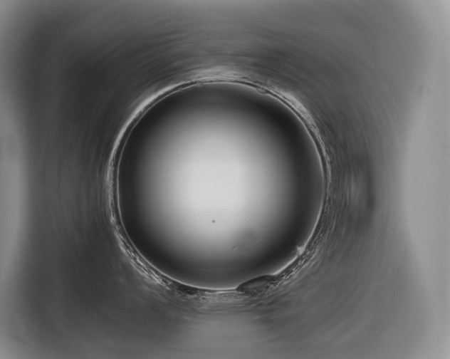 X0000116641008200912141231