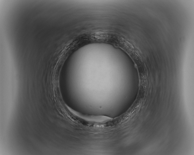 X0000116641009200912141231