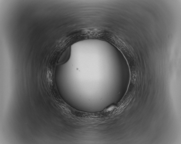 X0000116641010200912141231