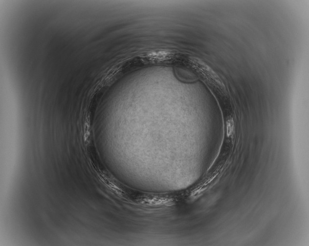 X0000116641011200912141231