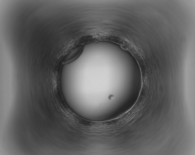 X0000116641012200912141231