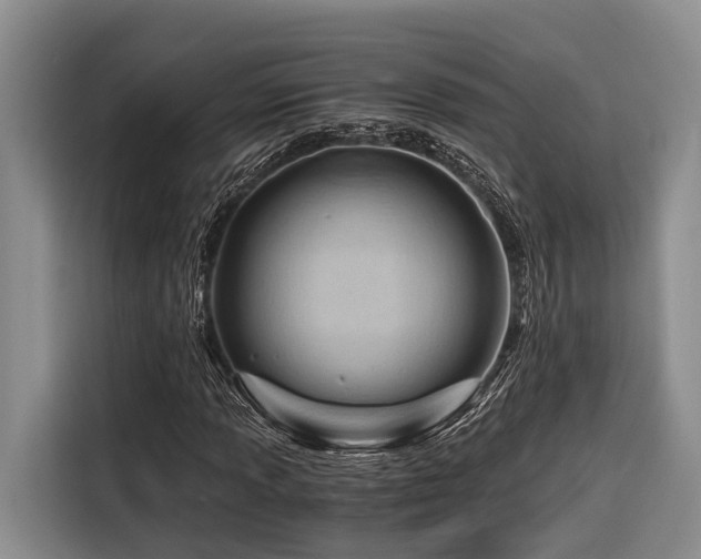 X0000116641013200912141231