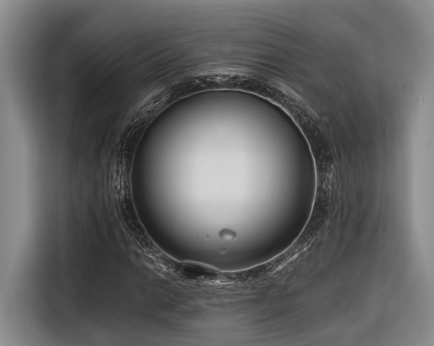 X0000116641014200912141231