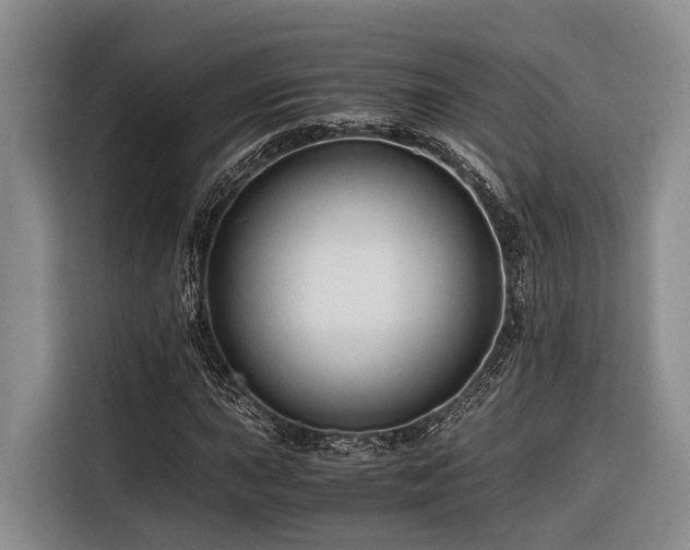 X0000116641015200912141231