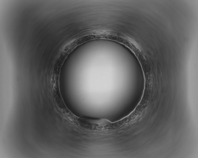 X0000116641016200912141231