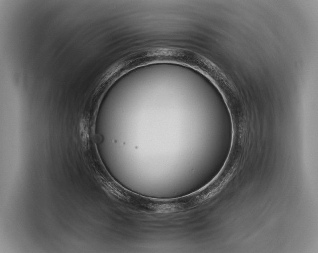 X0000116641017200912141231