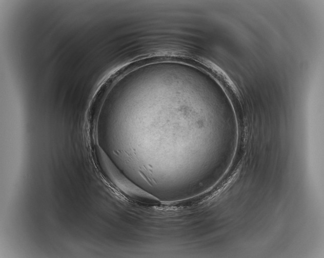 X0000116641019200912141231