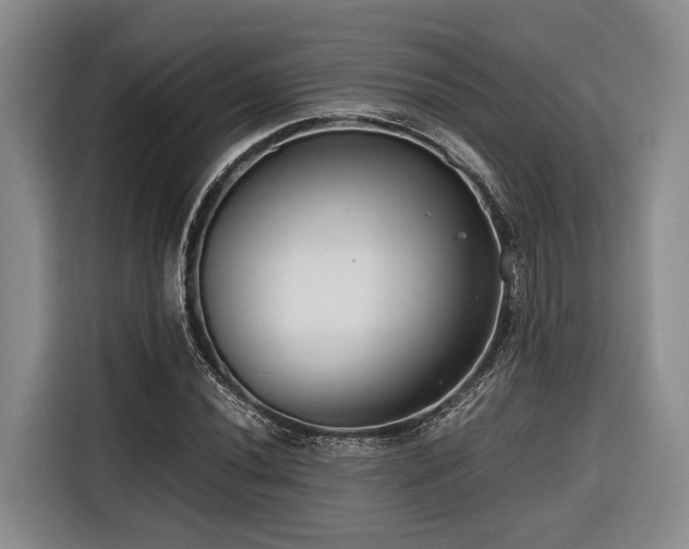 X0000116641020200912141231