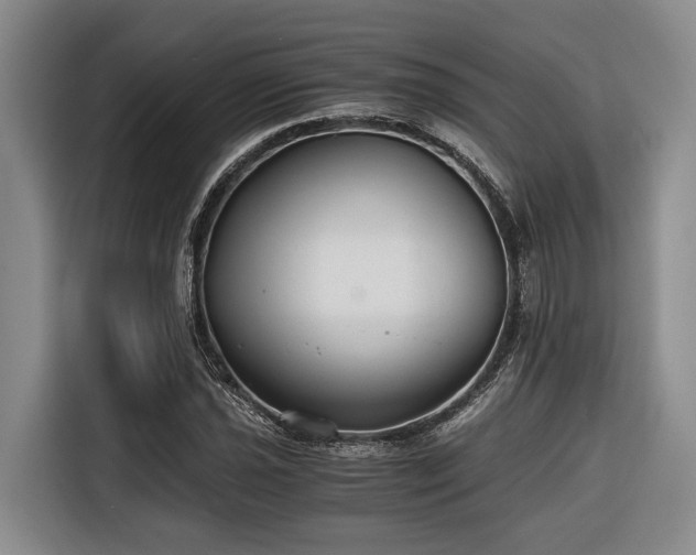 X0000116641021200912141231