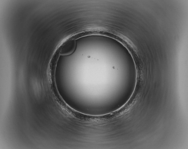 X0000116641022200912141231