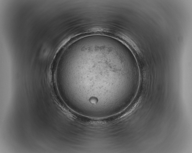 X0000116641023200912141231