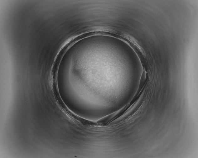 X0000116641024200912141231