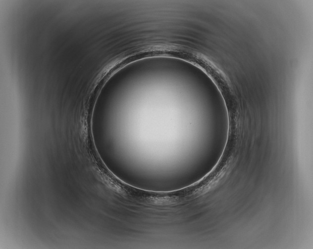 X0000116641025200912141231