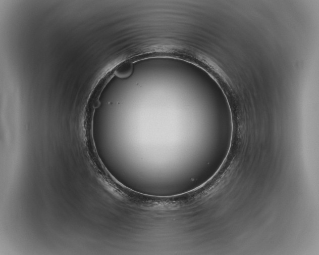 X0000116641026200912141231