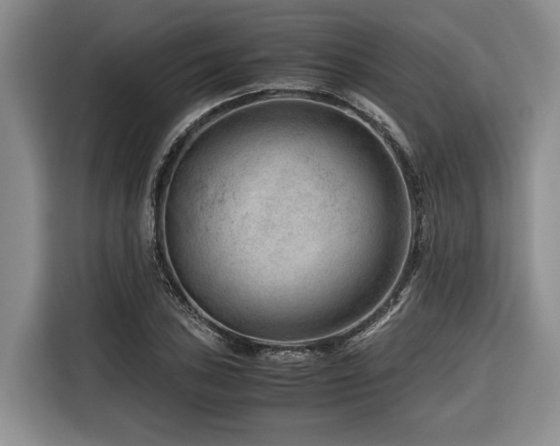 X0000116641027200912141231