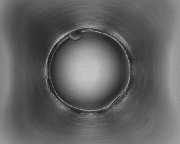 X0000116641028200912141231