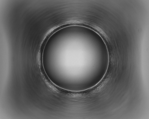 X0000116641030200912141231