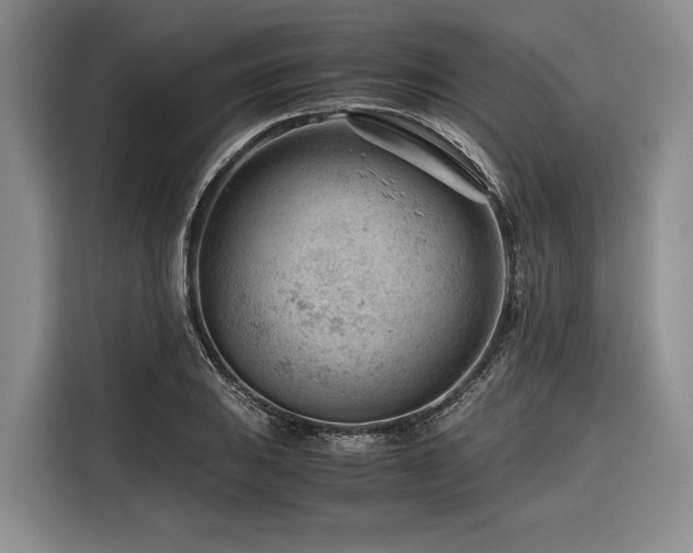 X0000116641031200912141231