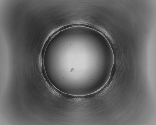 X0000116641032200912141231