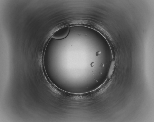 X0000116641033200912141231