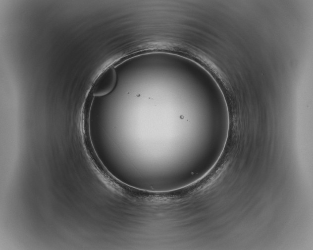 X0000116641034200912141231