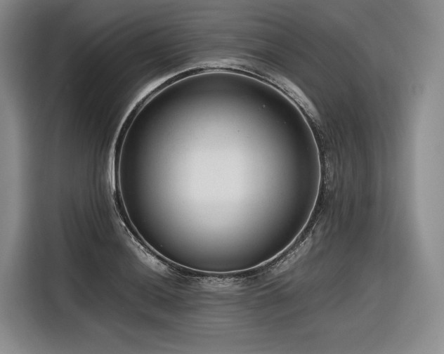 X0000116641036200912141231