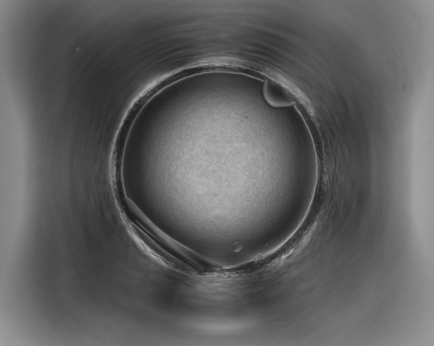 X0000116641037200912141231