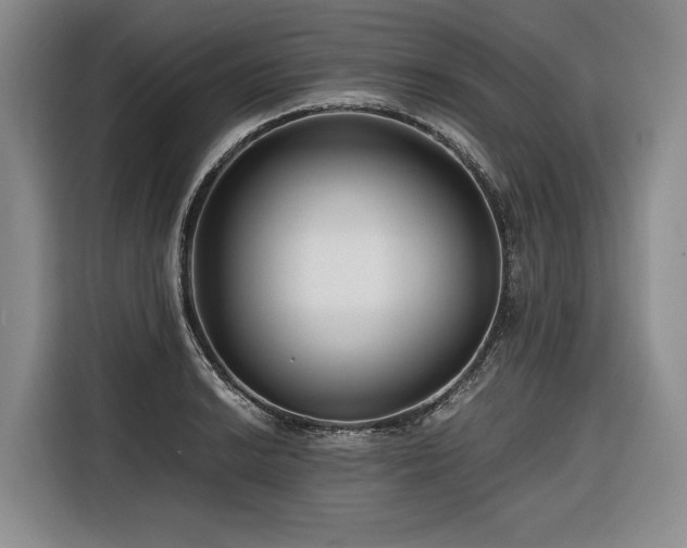 X0000116641038200912141231