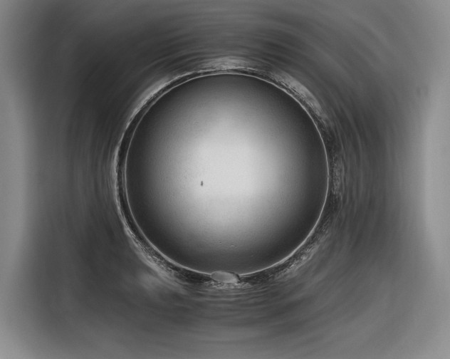 X0000116641039200912141231