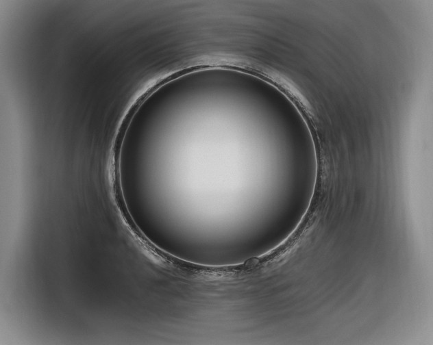 X0000116641040200912141231