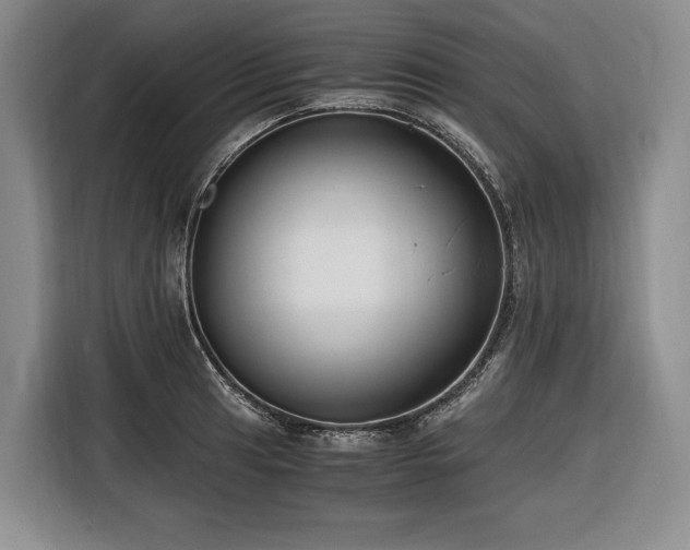 X0000116641041200912141231