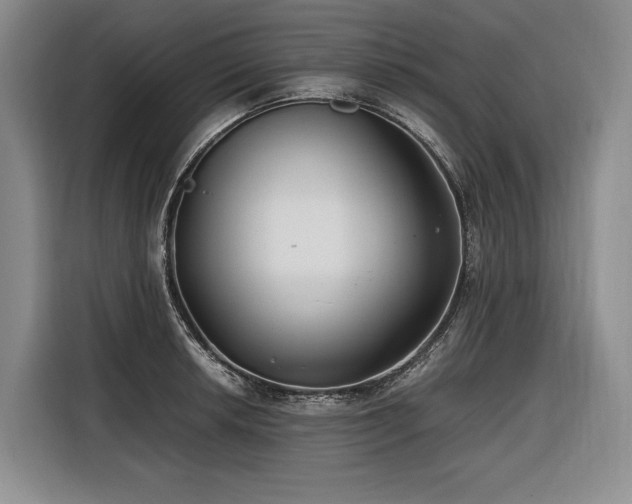 X0000116641042200912141231