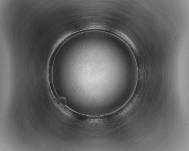 X0000116641043200912141231