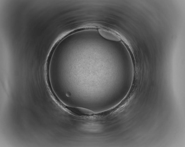 X0000116641045200912141231