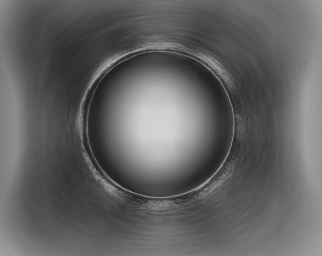 X0000116641046200912141231