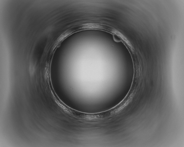 X0000116641049200912141231