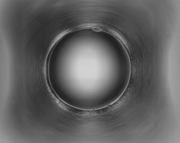 X0000116641050200912141231