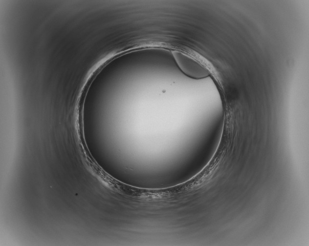 X0000116641051200912141231