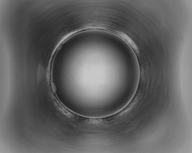 X0000116641052200912141231