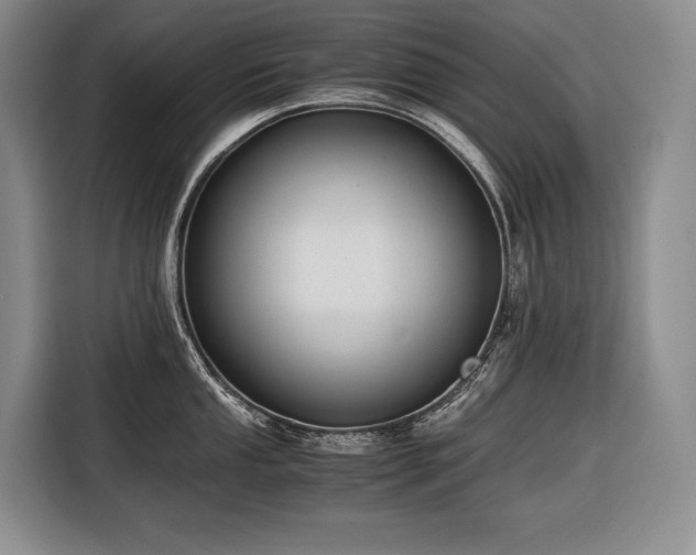 X0000116641053200912141231