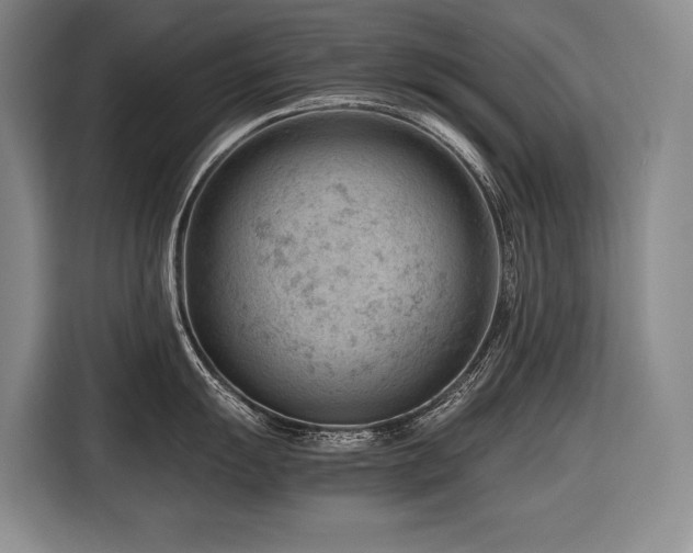 X0000116641055200912141231