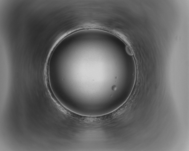 X0000116641056200912141231