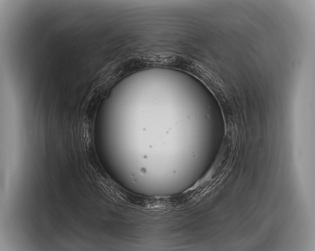 X0000116641058200912141231