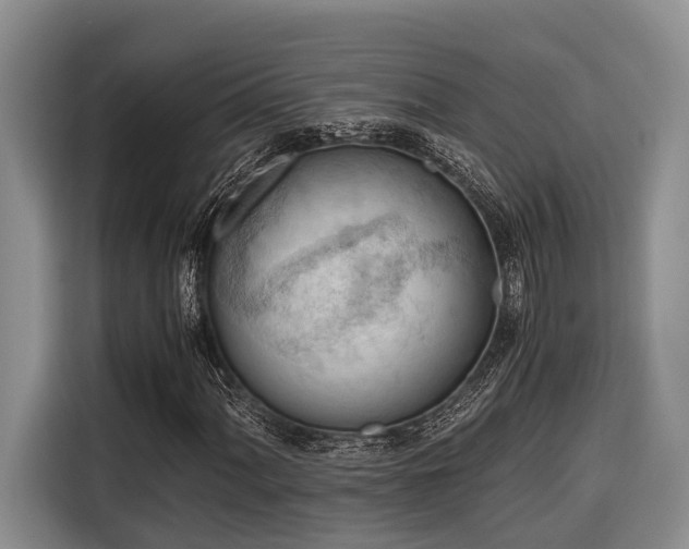 X0000116641060200912141231