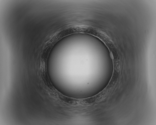 X0000116641061200912141231