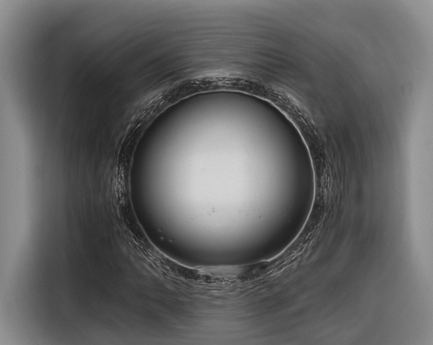 X0000116641062200912141231