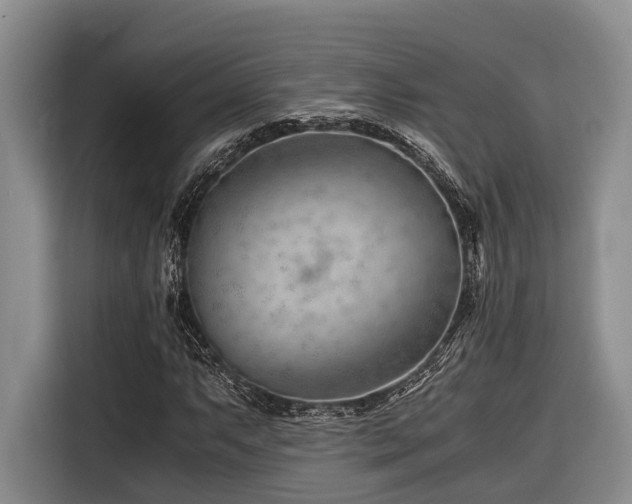 X0000116641063200912141231